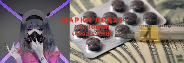 тгк Инсар