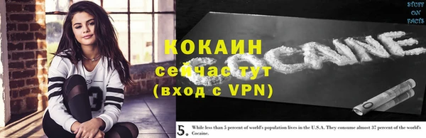 спиды Инта