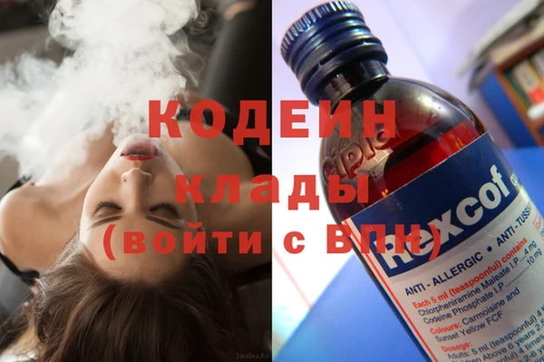спиды Инта