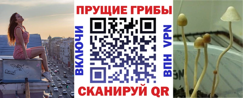 наркошоп  Фурманов  Галлюциногенные грибы MAGIC MUSHROOMS 