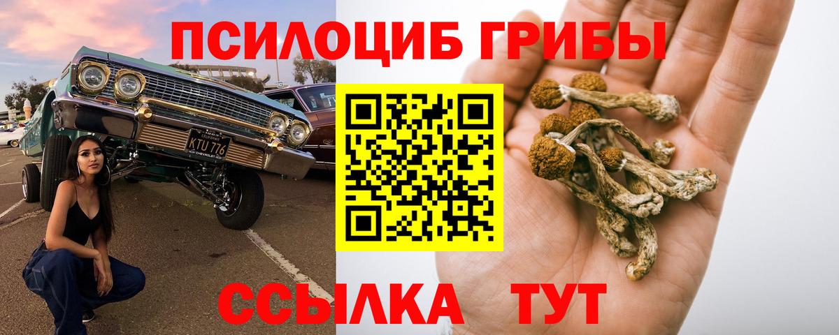 Псилоцибиновые грибы мухоморы Фурманов